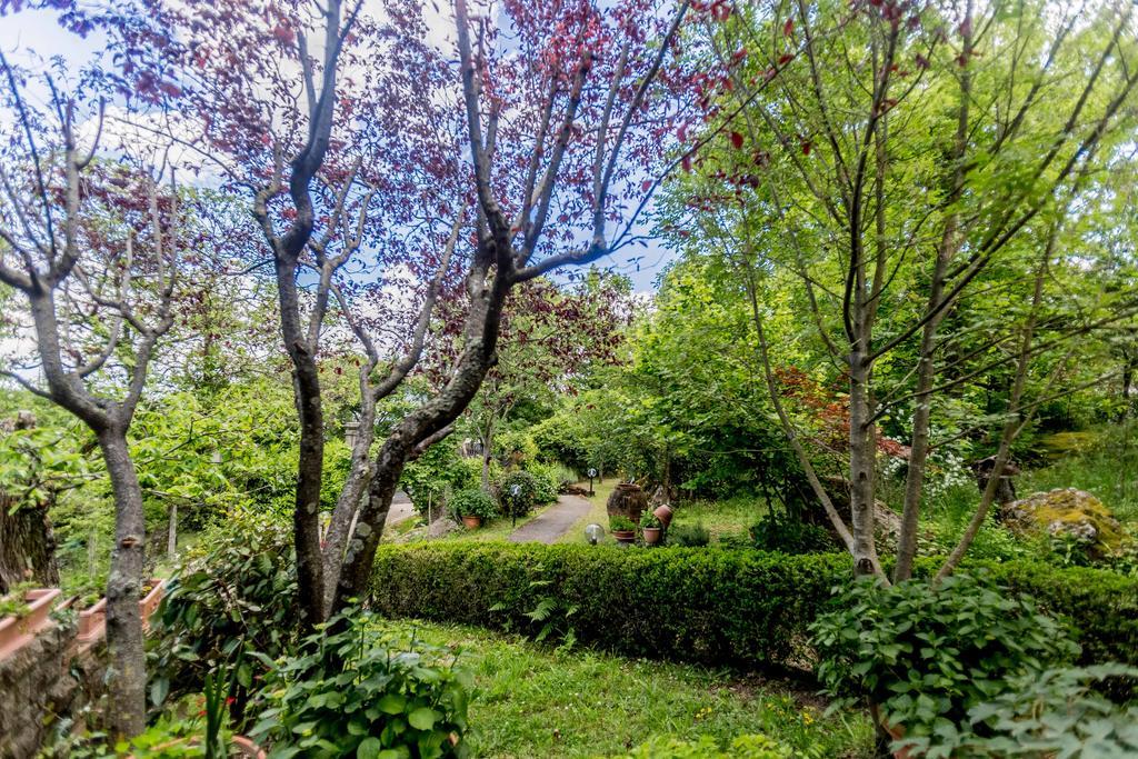 Bed and Breakfast Il Boschetto Di Castagni Сориано-нель-Чимино Экстерьер фото
